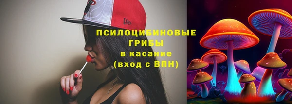прущие крисы Беломорск