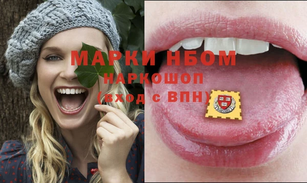 сатива Белокуриха